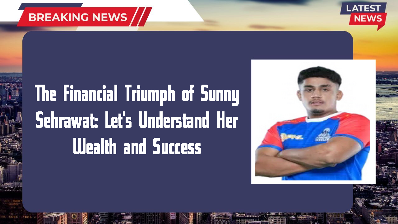 Sunny Sehrawat networth
