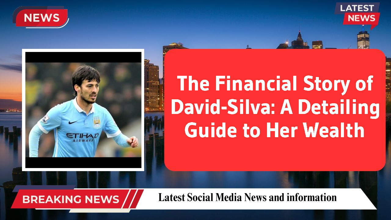 David-Silva networth