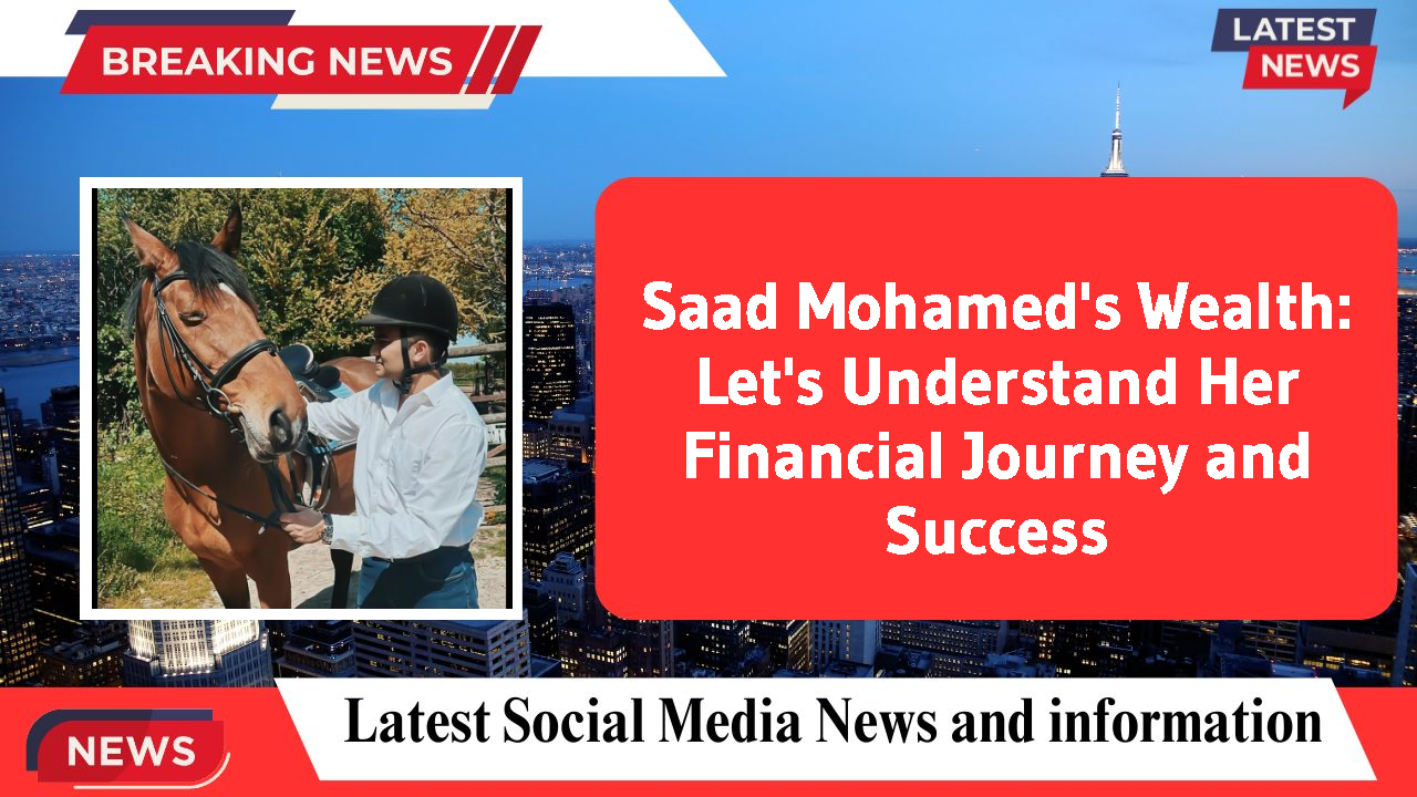 Saad Mohamed networth