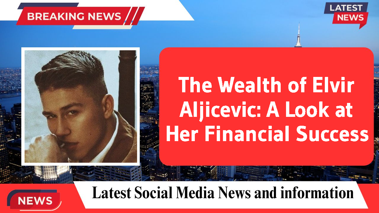 Elvir Aljicevic networth